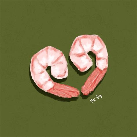 shrimp drawing 5