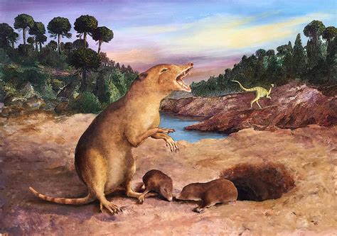 Toothy Triassic shrew crowned earliest known mammal