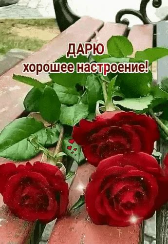 Анимированная открытка Дарю хорошее настроение