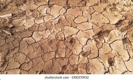 soil images stock  vectors shutterstock