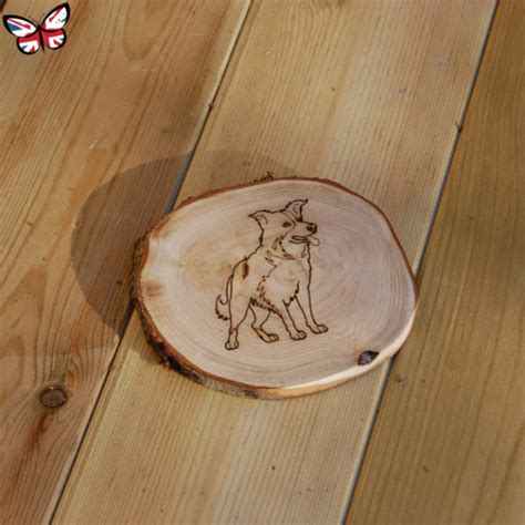 UK Wood Border Collie Coaster | Muddy Faces