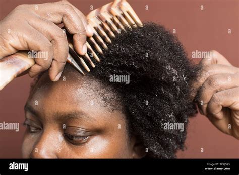 Combing black afro curly hair with shrinkage, using a wide tooth comb ...