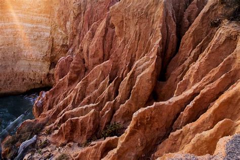 understanding erosion  impacts  solutions  land wearing