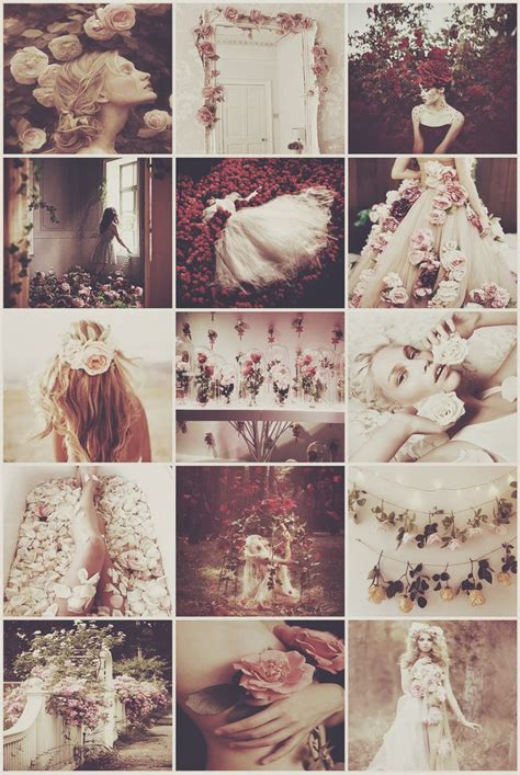 aesthetics chaos aesthetic roses rose fairy rose girl