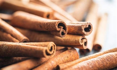 Cassia vs Ceylon Cinnamon: What’s the Difference? - A-Z Animals