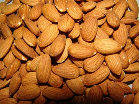 Dream Meaning of Almond - Dream Interpretation