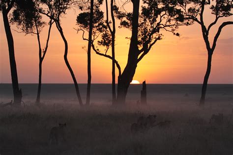 Masai Mara National Reserve, Kenya Sunrise Sunset Times