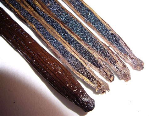 Madagascar Vanilla Beans - Grade A Pods For Baking & Extract Making ...