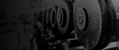 Спортивное питание Scitec Nutrition | Официальный представитель ТМ ...