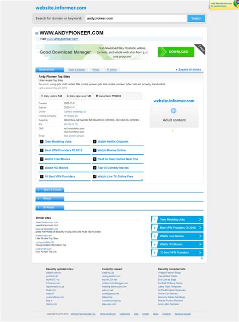 Andy Pioneer Current Traffic Stats and Domain Metrics (Updated 2024)