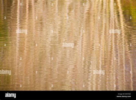 reflection  pond stock photo alamy