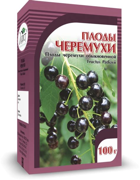 Компания ХОРСТ - ЧЕРЕМУХА, плоды