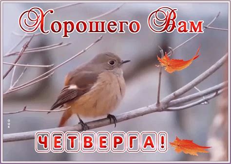 Открытка хорошего четверга | Открытки Онлайн