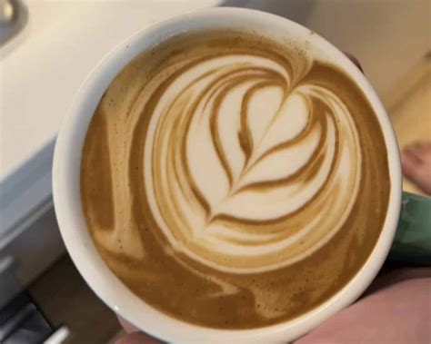 steam oat milk  coffee barista froth guide