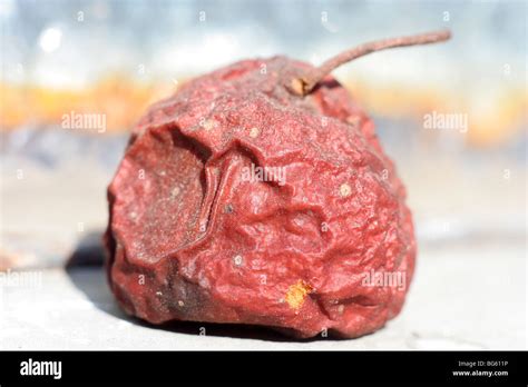 Dried fruit. ( tejocote, mexican fruit Stock Photo - Alamy