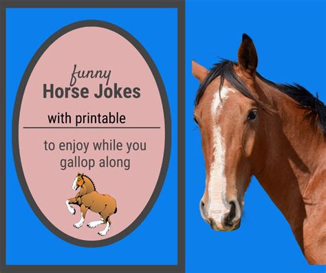 Funny Horse Jokes to Enjoy While You Gallop Along.
