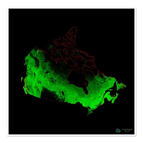 Canada - Forest cover map - Fine Art Print – Grasshopper Geography