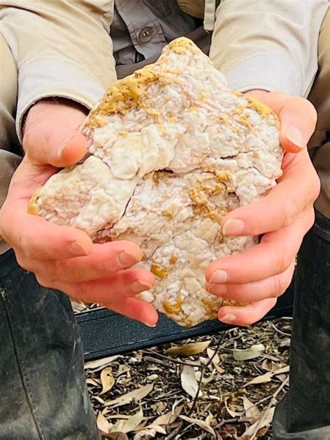 australian man discovers rare gold nugget worth  abc news