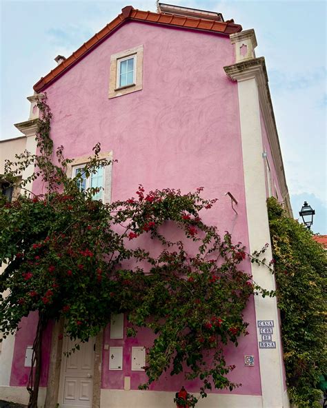 Sabrina Piper | little gratitude dump for summer ‘22! extra grateful