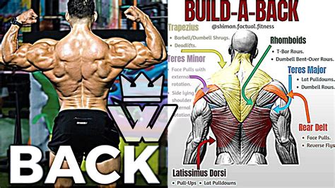 14 Exercises to Build A BIG Back - YouTube