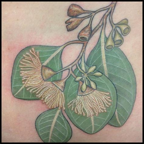 Australian Native plant botanical tattoos | Botanical tattoo, Tattoos ...