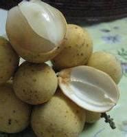 rainbowdiary buah duku lanzones  health benefits