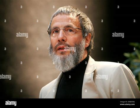 singer yusuf  res stock photography  images alamy