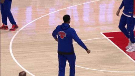 york knicks gifs  share gifdbcom