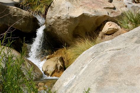 Borrego Palm Canyon – Anza Borrego Desert State Park, California ...