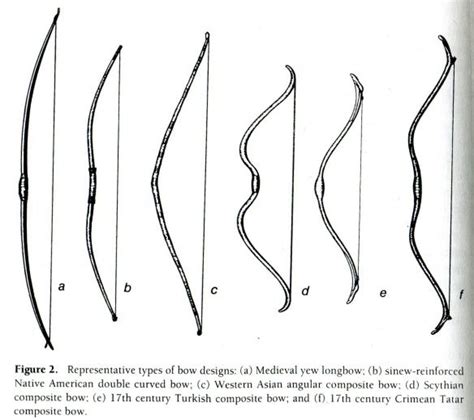 Types of Bows used throughout history #archery | Composite bow, Bow ...