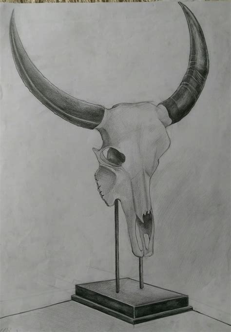 Bison Skull Drawing by MertOzel on DeviantArt