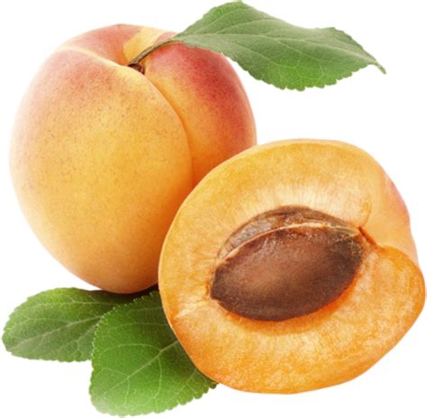 ABRICOT