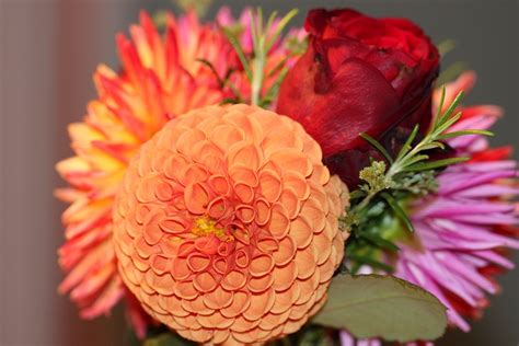 Bunch Of Flowers Multicoloured - Free photo on Pixabay - Pixabay