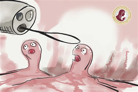 Эндоскопическая полипэктомия: что это, цена