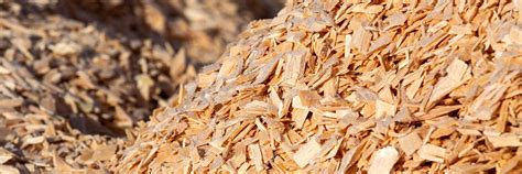 packaging substrates    sustainable bain company