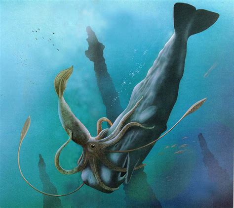 National Geographic | Giant squid, Whale, Sea monsters