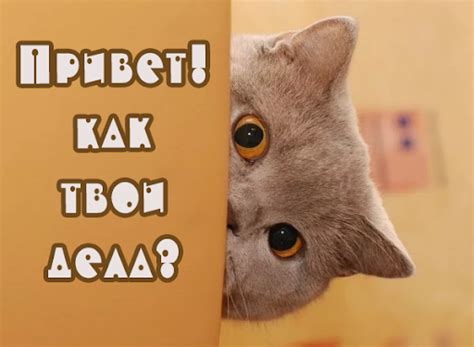 Картинки "Как дела?" (63 фото)