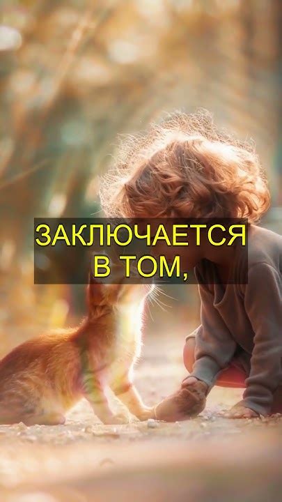 Кошачье мурлыканье: магическое исцеление, о котором вы не знали! - YouTube
