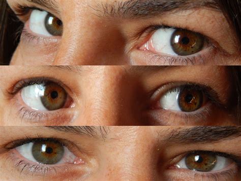 Hazel Eyes