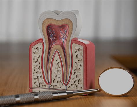 Exposed Tooth Root Symptoms, Causes, And Treatments – NatruSmile