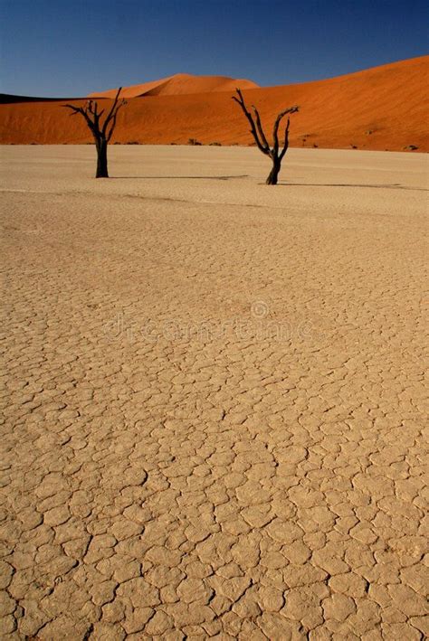 Exploring the Beautiful Arid Landscapes