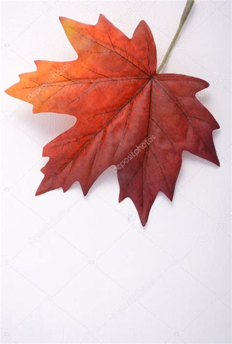 Happy Canada Day Maple Leaf Stock Photo by ©amarosy 112408808