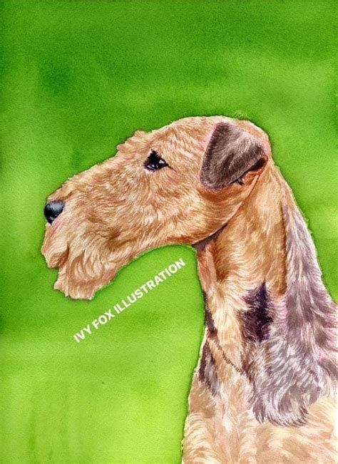 airedale on Tumblr