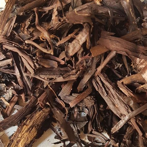 Alkanet Root, Packaging Size: 1 Kg at ₹ 250/kg in Gurugram | ID ...