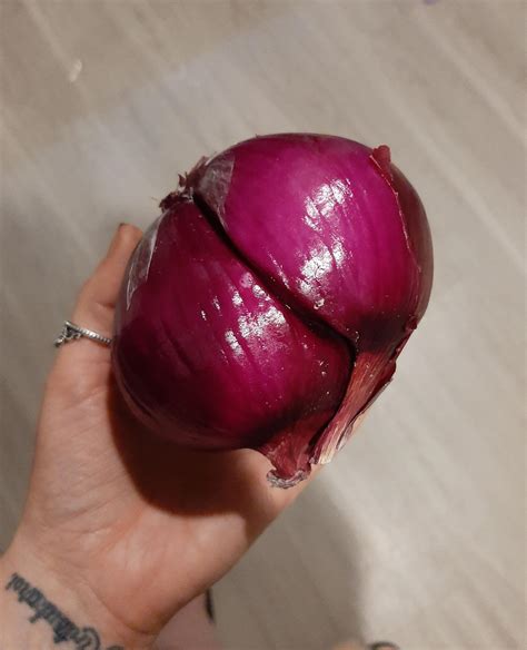 i thought this was one huge onion...turns out it was two. : r