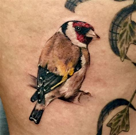 Little goldfinch tattoo by Hash – 1920 Tattoo