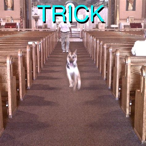 This One Trick With Alex Becker Clarity: The Shocking Results You Need To See! Image 4