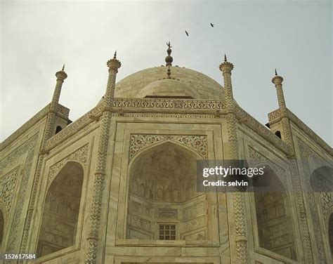 261 Taj Mahal Birds Stock Photos, High-Res Pictures, and Images - Getty ...