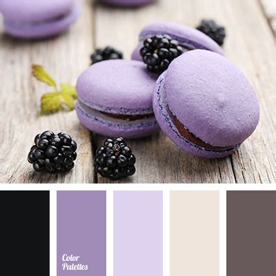 Violet Color Palettes | Page 9 of 85 | Color Palette Ideas
