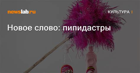 Новое слово: пипидастры / Новости культуры Красноярска и Красноярского ...